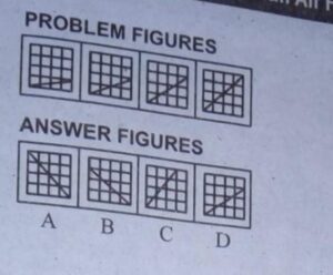 A line is drawn in the box.