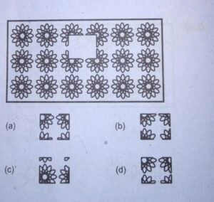 An illustrious image of the marigold.