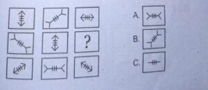 The arrow is covered from both ends.