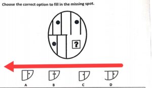 There are dots in the eggs.